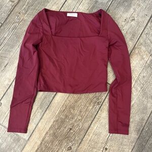 Aritzia Babaton  shirt